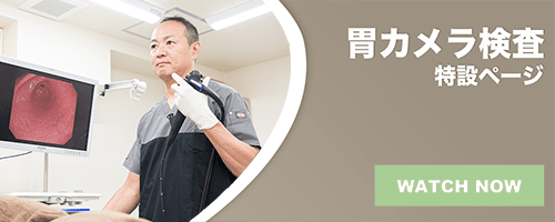 胃カメラ特設ページ