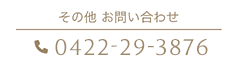 その他 お問い合わせ 042229-3876