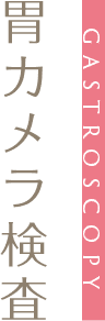 胃カメラ検査 GASTROSCOPY